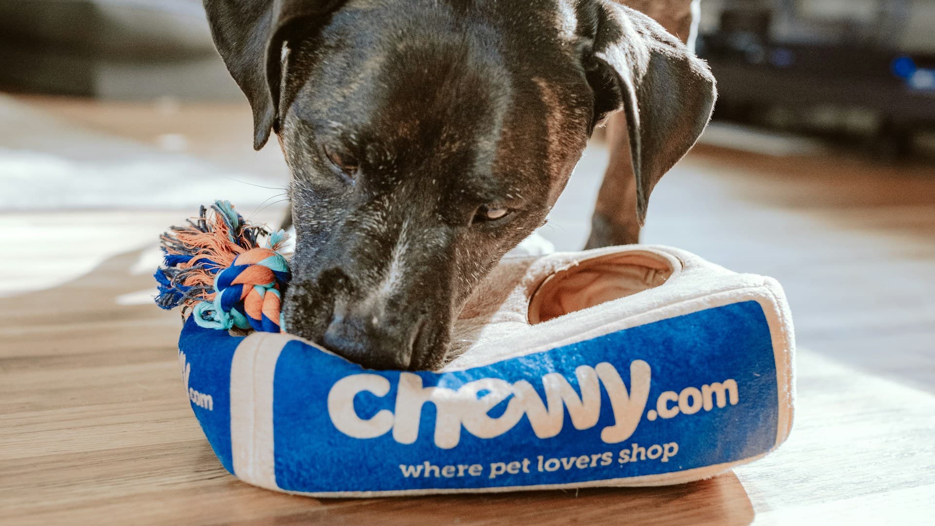 Hotely a penzióny pre zvieratá